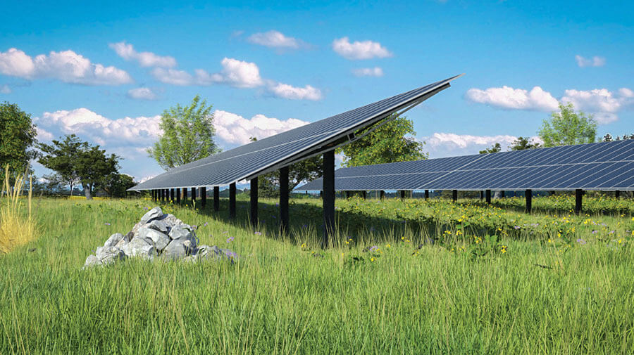 Biodivenergy solar plants