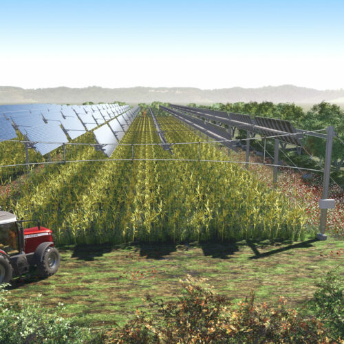 TSE, producteur d’énergie solaire met en place le plus grand démonstrateur agrivoltaïque en France