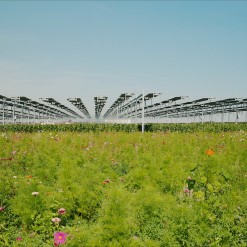 La canopée agricole de Brouchy équipée d’un système d’irrigation