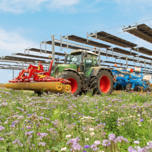 TSE obtient un financement de 11millions d’euros pour ses centrales agrivoltaïques.